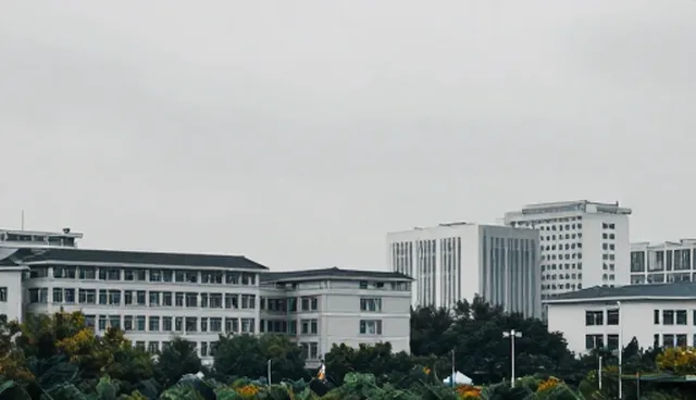 产品优化策略:性能提升与适用条件的取舍